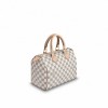 Louis Vuitton Speedy 25 N41371
