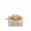 Louis Vuitton Speedy 25 N41371