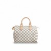 Louis Vuitton Speedy 25 N41371