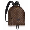 Louis Vuitton Palm Springs PM M44871 Brown