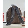 Louis Vuitton Palm Springs PM M44871 Brown