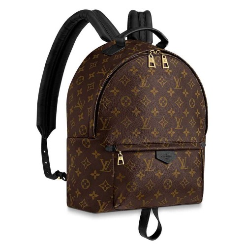 Louis Vuitton Palm Springs MM M44874 Brown