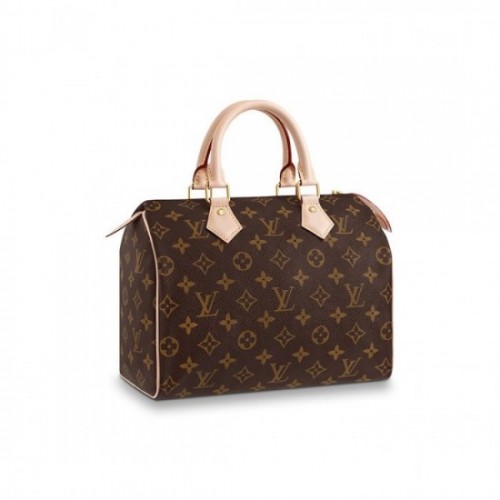 Louis Vuitton Speedy 25 M41109