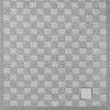 Louis Vuitton Light Grey M77989 Néo Petit Damier Scarf