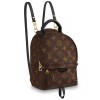 Louis Vuitton Palm Springs Mini Bag M41562 Brown