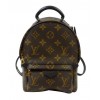 Louis Vuitton Palm Springs Mini Bag M41562 Brown