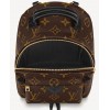Louis Vuitton Palm Springs Mini Bag M41562 Brown