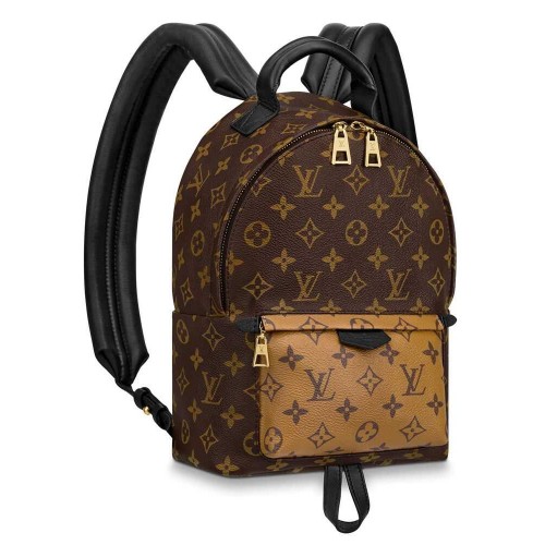 Louis Vuitton Palm Springs PM M44870 Brown