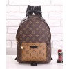 Louis Vuitton Palm Springs PM M44870 Brown
