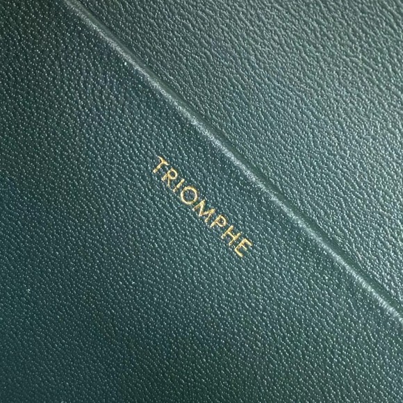 Celine Triomphe Medium Bag In Amazone Smooth Calfskin Celine Triomphe Medium Bag In Amazone Smooth Calfskin