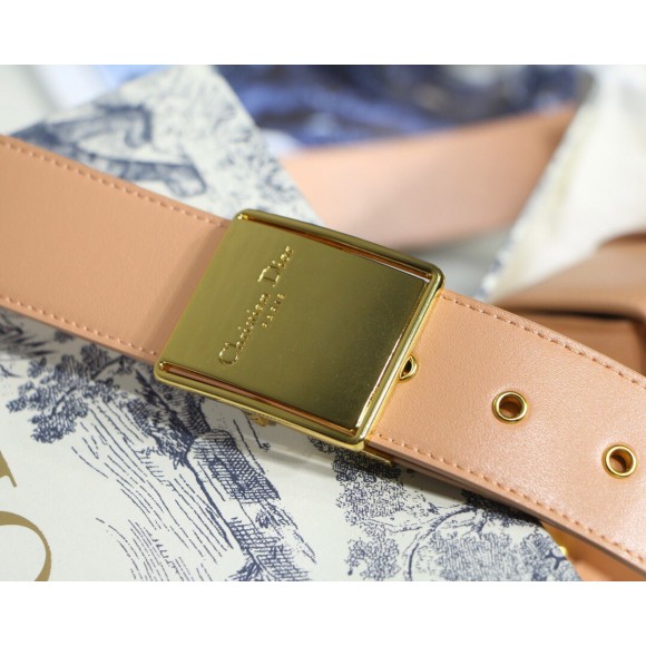 Dior 30 Montaigne Box Bag In Powder Box Calfskin Dior 30 Montaigne Box Bag In Powder Box Calfskin